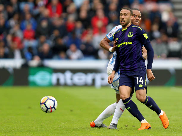 的展示和陈 的展示和陈